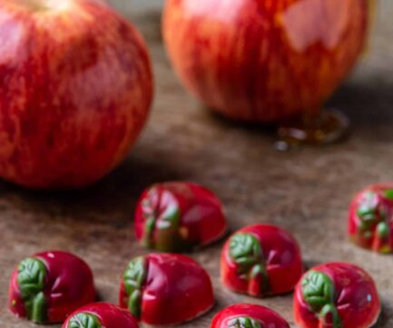 ייצור שוקולדים ופרלינרים ללא סוכר